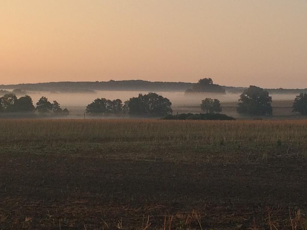 Gaestehaus Am Fischerweg Lauterbach  Zewnętrze zdjęcie